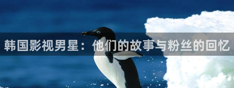 大地资源在线观看免费高清电影：韩国影视男星：他们的故事与粉丝的回忆