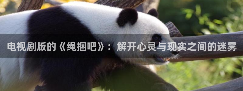 大地在线播放免费观看：电视剧版的《绳捆吧》：解开心灵与现实之间的迷雾