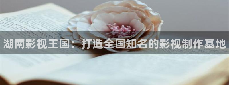 大地影院av：湖南影视王国：打造全国知名的影视制作基地