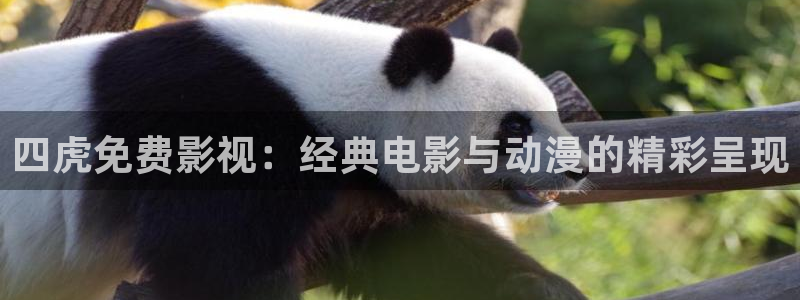 大地看片：四虎免费影视：经典电影与动漫的精彩呈现