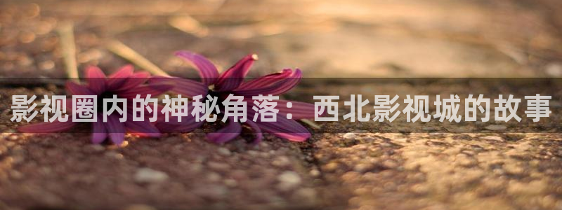 大地影院退款入口在哪里：影视圈内的神秘角落：西北影视城的故事