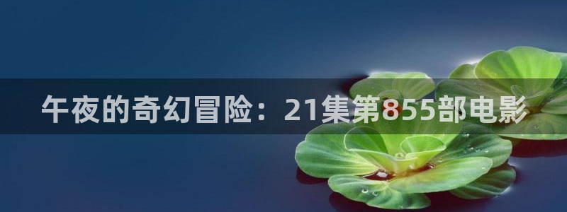 大地影院为什么都闭店了：午夜的奇幻冒险：21集第855部电影