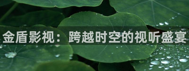 来安大地影城今日电影：金盾影视：跨越时空的视听盛宴