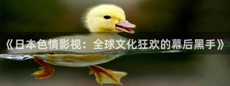 大地第二资源在线观看